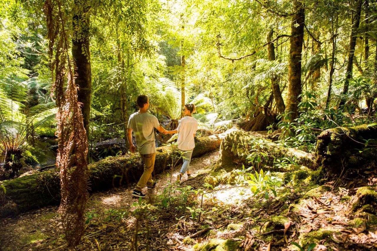 Tall Timbers Tasmania Смиттон Экстерьер фото