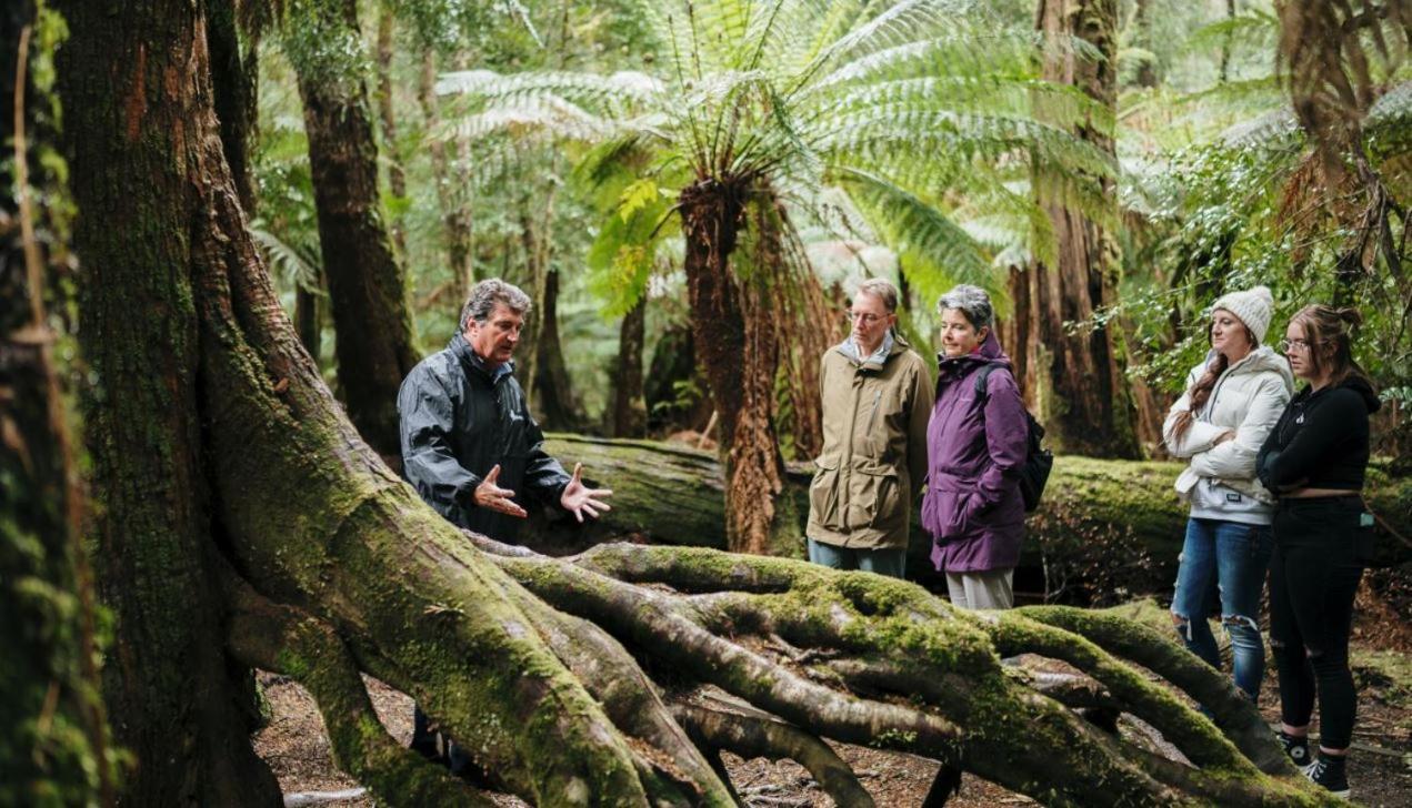 Tall Timbers Tasmania Смиттон Экстерьер фото